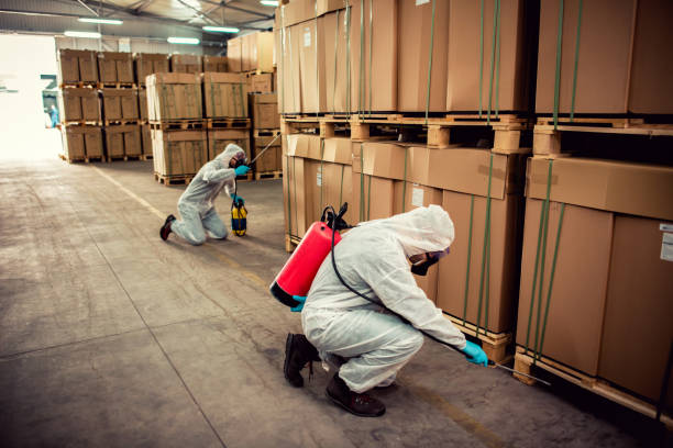 Best Residential Pest Control  in White Rock, NM