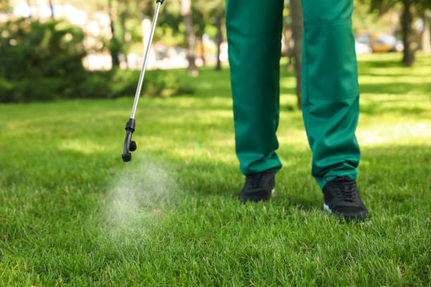 Best Pest Removal Services  in White Rock, NM
