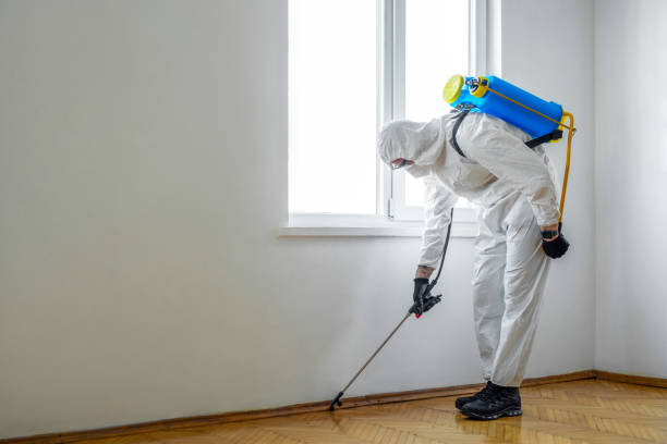 Best Pest Prevention Services  in White Rock, NM
