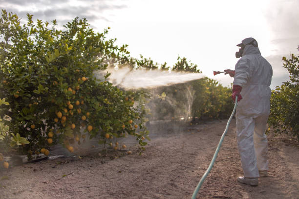 Best Commercial Pest Control Services  in White Rock, NM