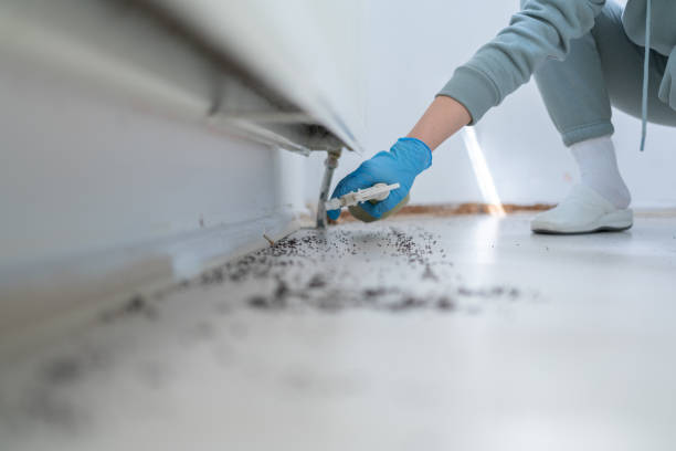 Best Best Pest Control Companies  in White Rock, NM